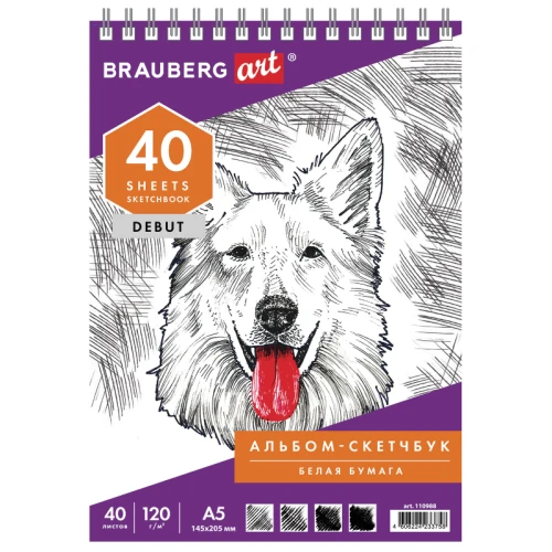 Скетчбук BRAUBERG "ART DEBUT" на гребне, 145*205 мм, 40 листов