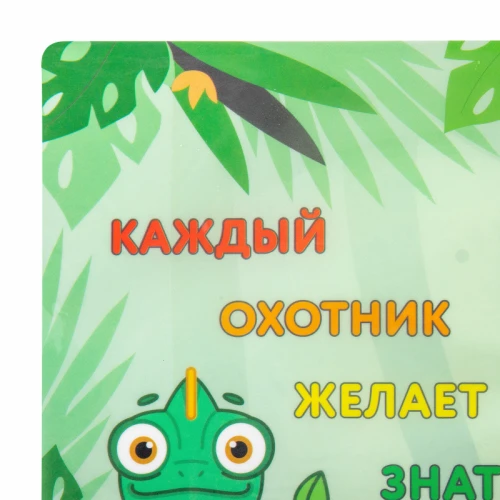 Настольное покрытие BRAUBERG KIDS "Color map" 50*35 см, зелёный